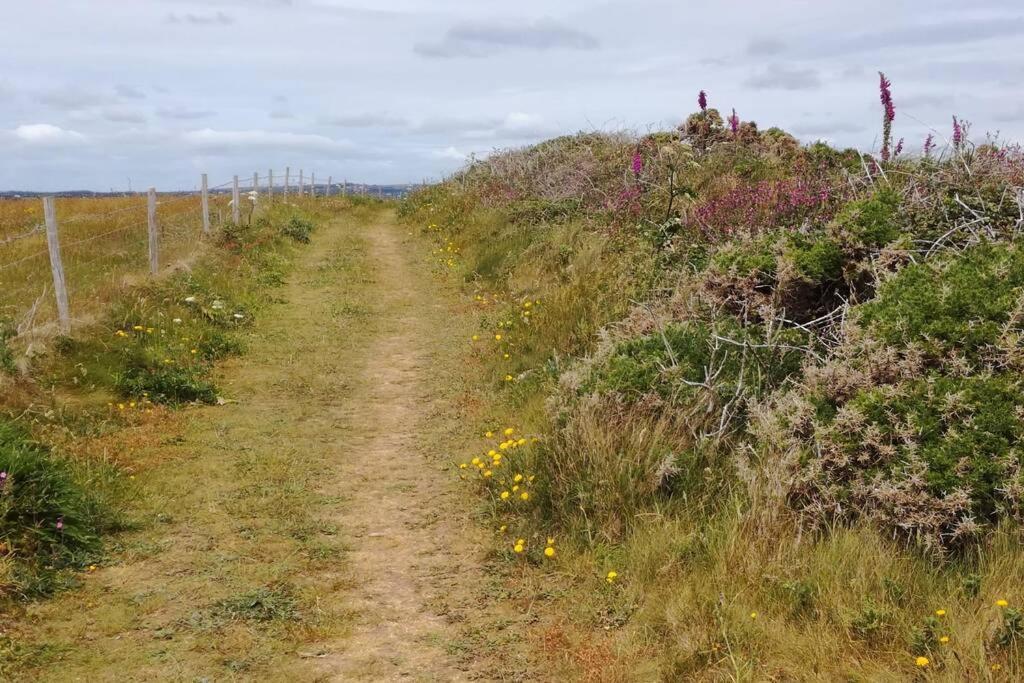 Farm Accommodation - The Lizard Peninsula, Cornwall Helston Eksteriør billede