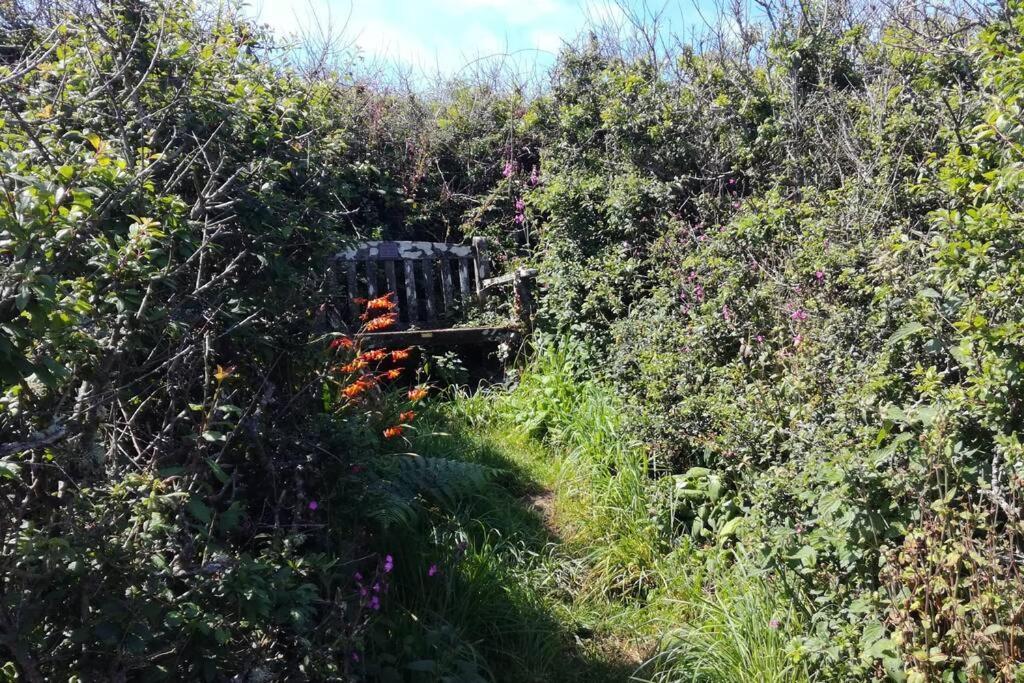 Farm Accommodation - The Lizard Peninsula, Cornwall Helston Eksteriør billede