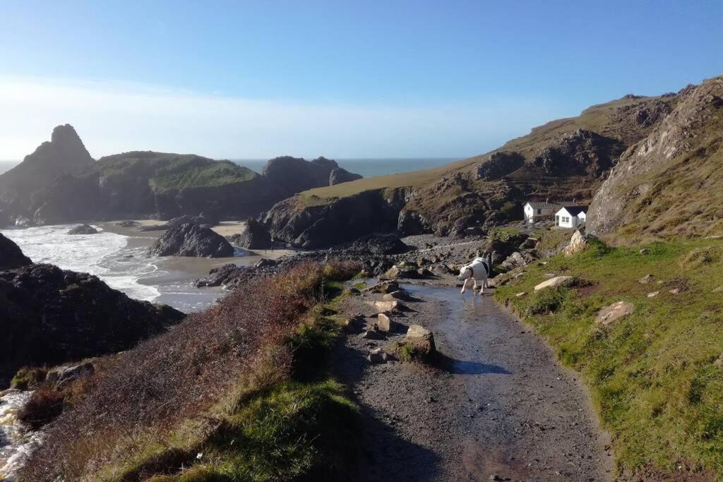 Farm Accommodation - The Lizard Peninsula, Cornwall Helston Eksteriør billede