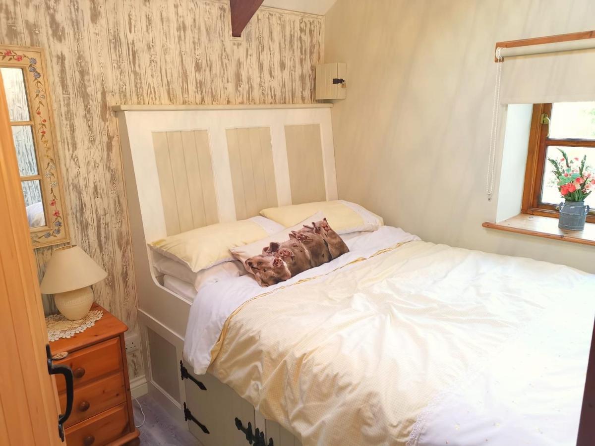 Farm Accommodation - The Lizard Peninsula, Cornwall Helston Eksteriør billede