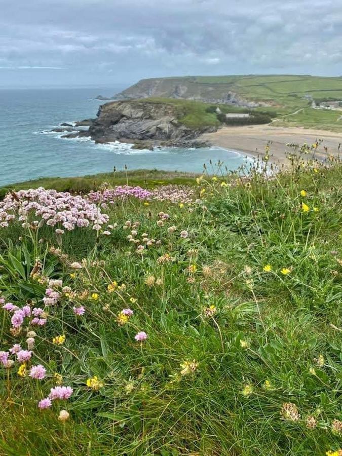 Farm Accommodation - The Lizard Peninsula, Cornwall Helston Eksteriør billede
