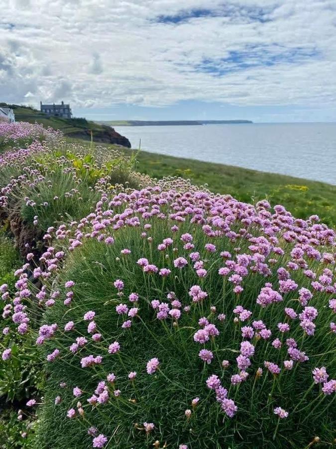 Farm Accommodation - The Lizard Peninsula, Cornwall Helston Eksteriør billede