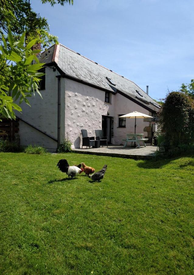 Farm Accommodation - The Lizard Peninsula, Cornwall Helston Eksteriør billede