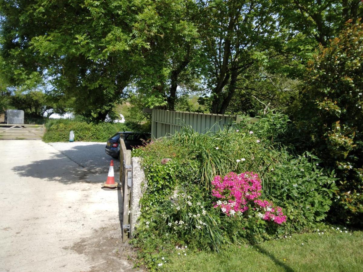 Farm Accommodation - The Lizard Peninsula, Cornwall Helston Eksteriør billede